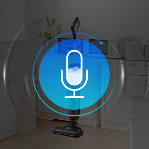 Your Personal Voice Assistant